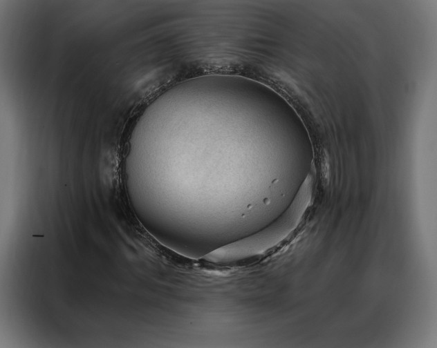 X0000088160964200705221557