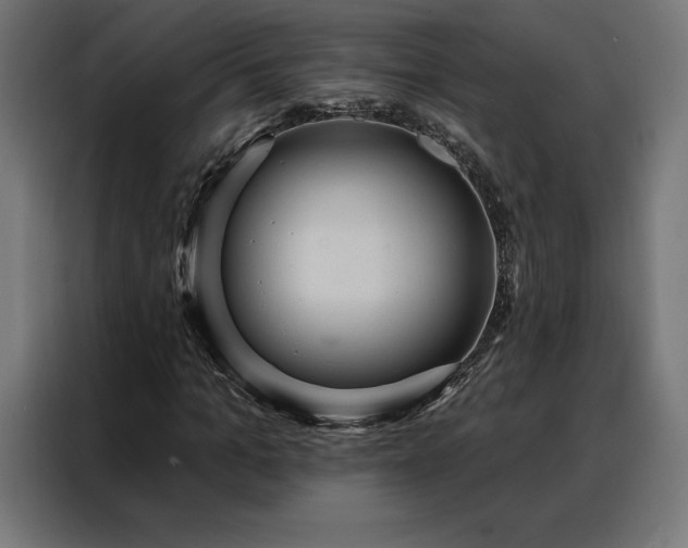 X0000088160965200705221557
