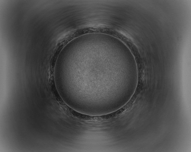 X0000088160966200705221557