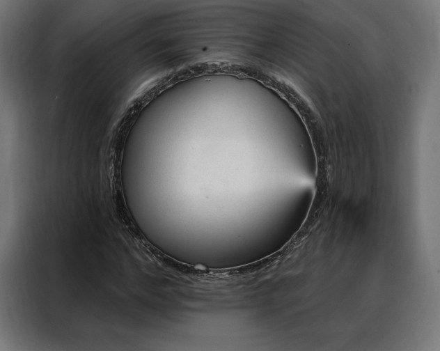 X0000088160968200705221557