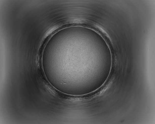 X0000088160970200705221557