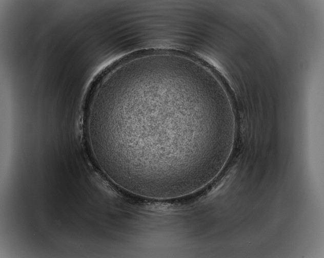 X0000088160971200705221557