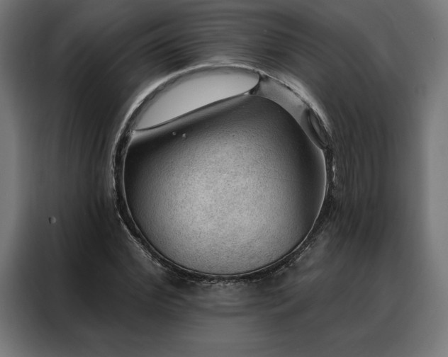 X0000088160972200705221557