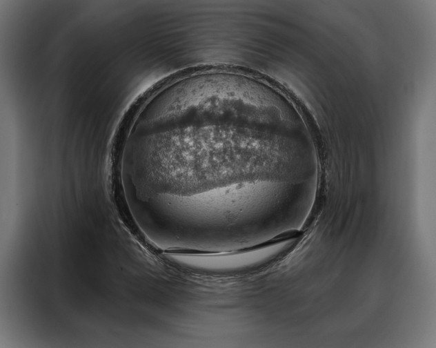 X0000088160975200705221557