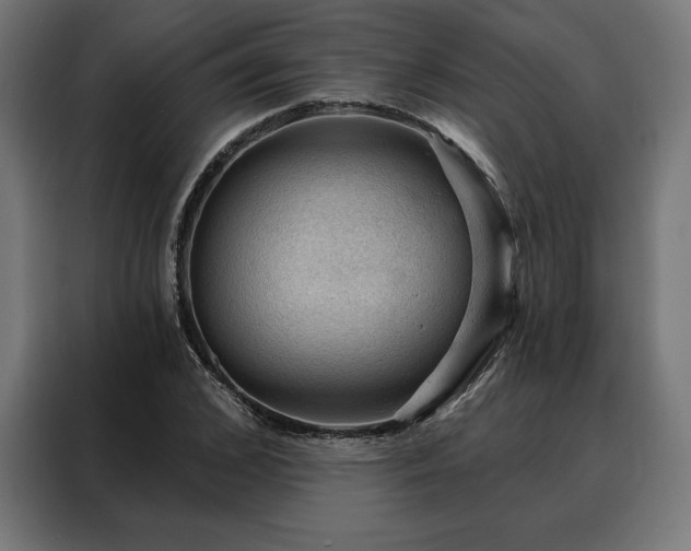 X0000088160976200705221557