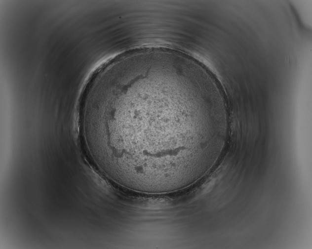 X0000088160979200705221557