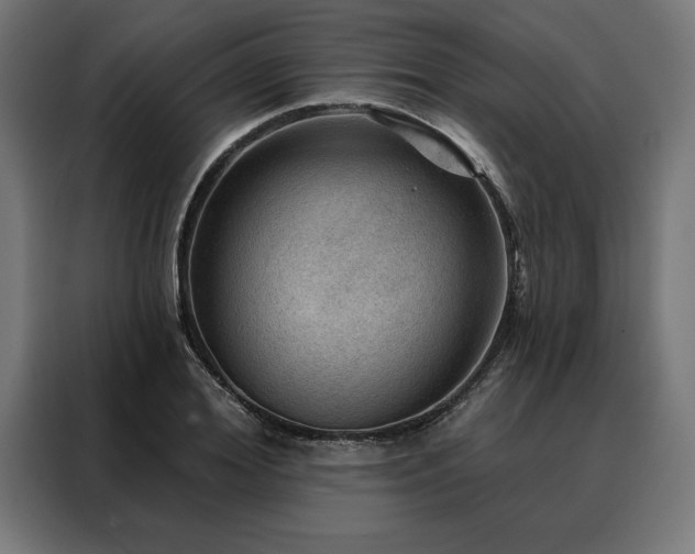 X0000088160980200705221557