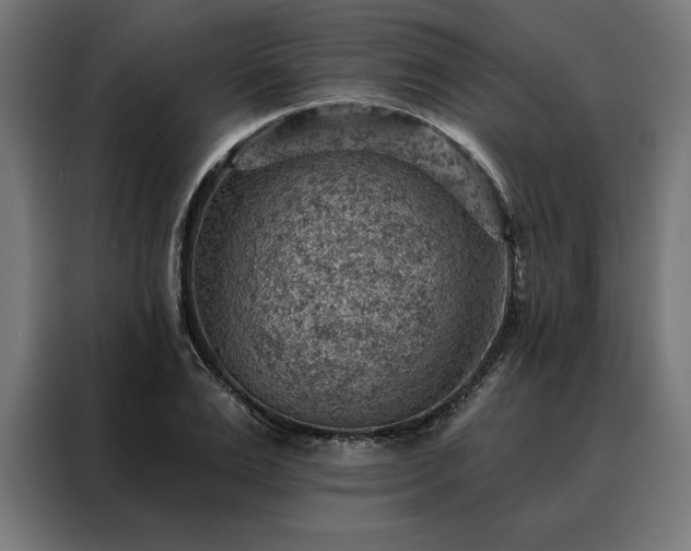 X0000088160983200705221557