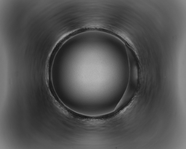 X0000088160984200705221557