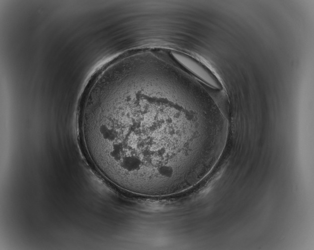 X0000088160987200705221557