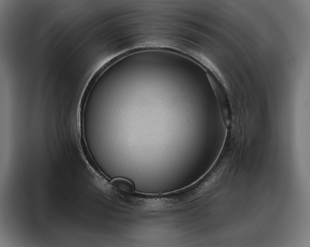 X0000088160988200705221557