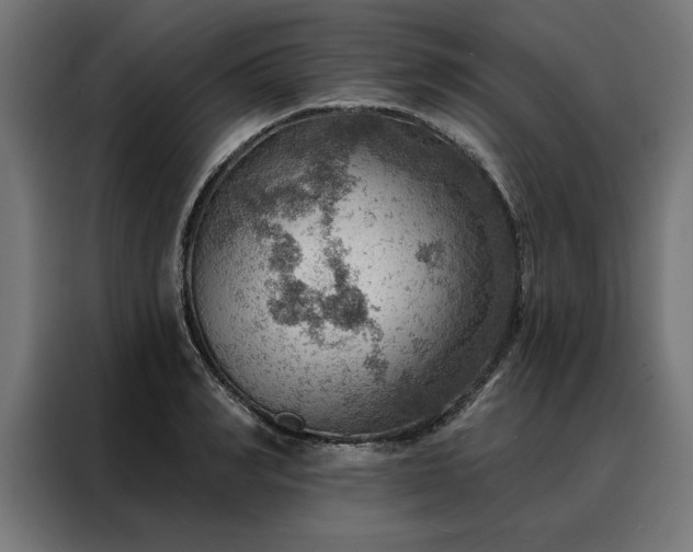 X0000088160990200705221557