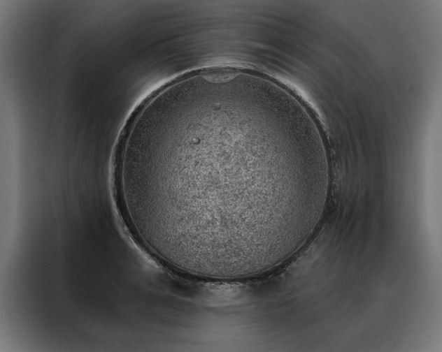 X0000088160991200705221557