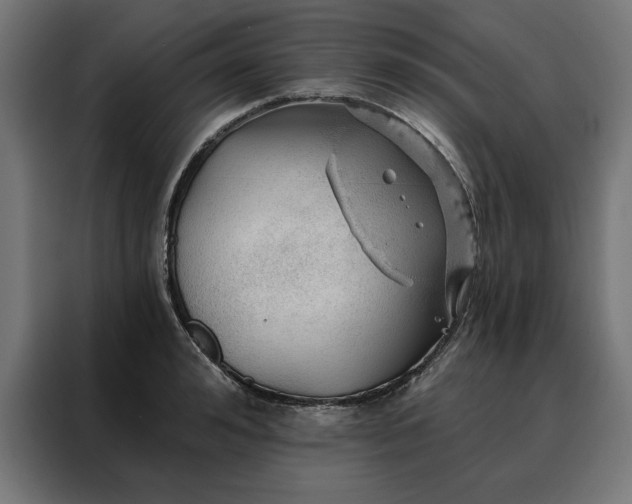 X0000088160992200705221557