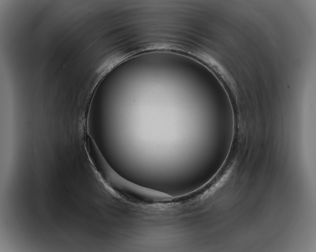X0000088160993200705221557