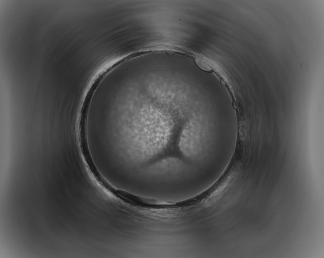 X0000088160995200705221557