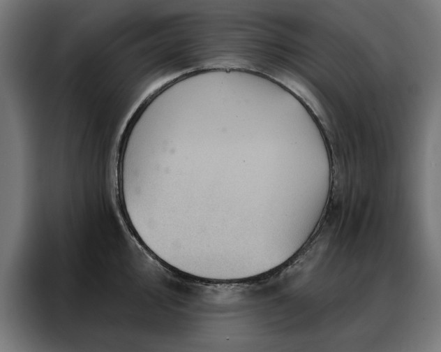 X0000088161000200705221557