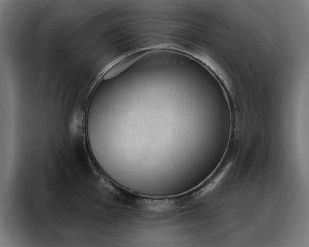 X0000088161001200705221557