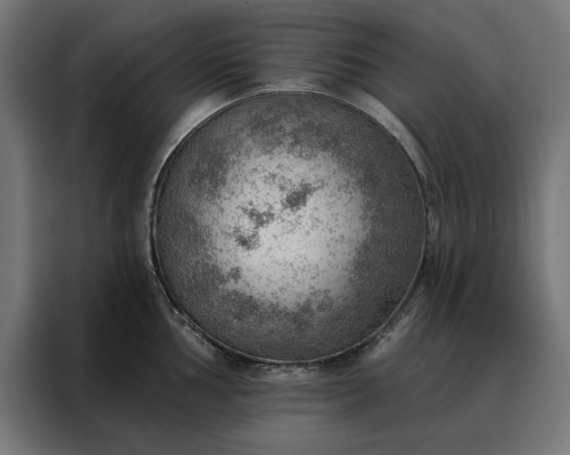 X0000088161002200705221557