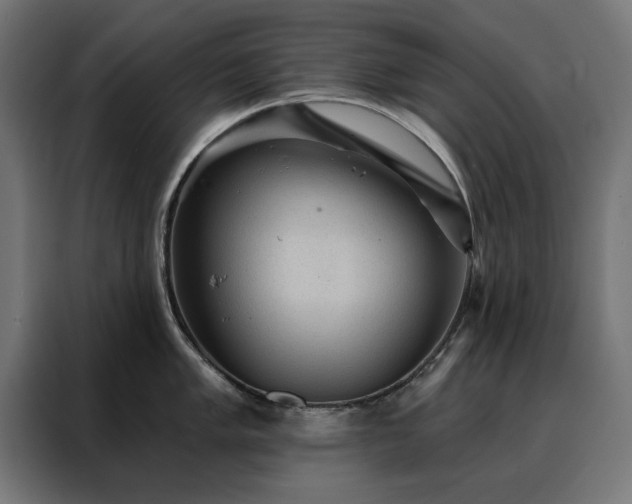X0000088161005200705221557