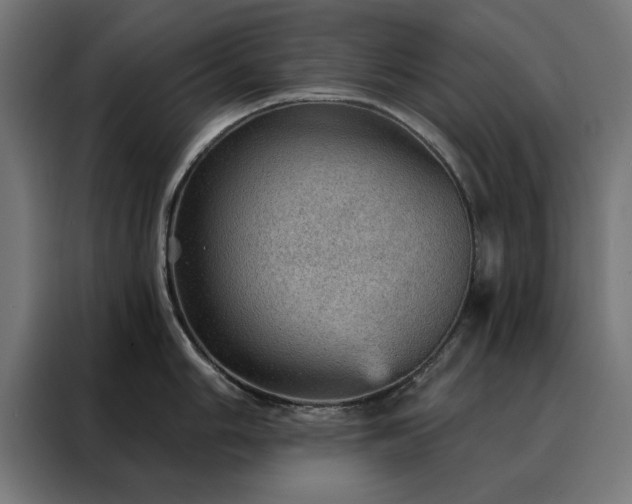 X0000088161006200705221557