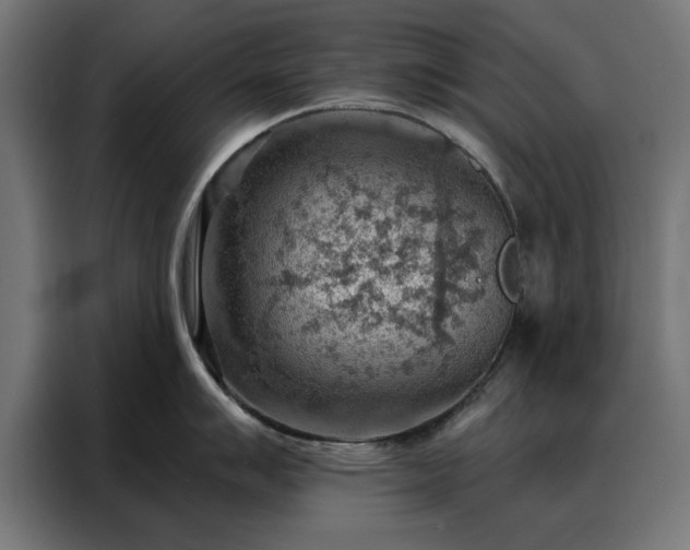 X0000088161007200705221557