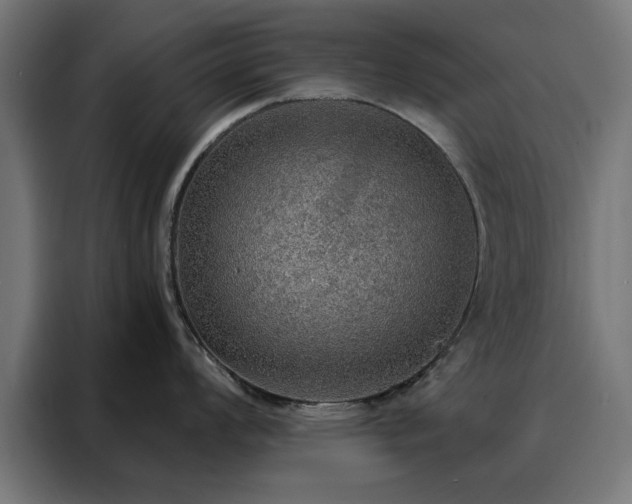 X0000088161008200705221557