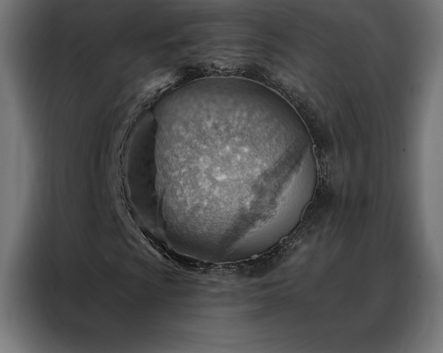 X0000088161009200705221556
