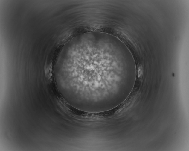 X0000088161011200705221556