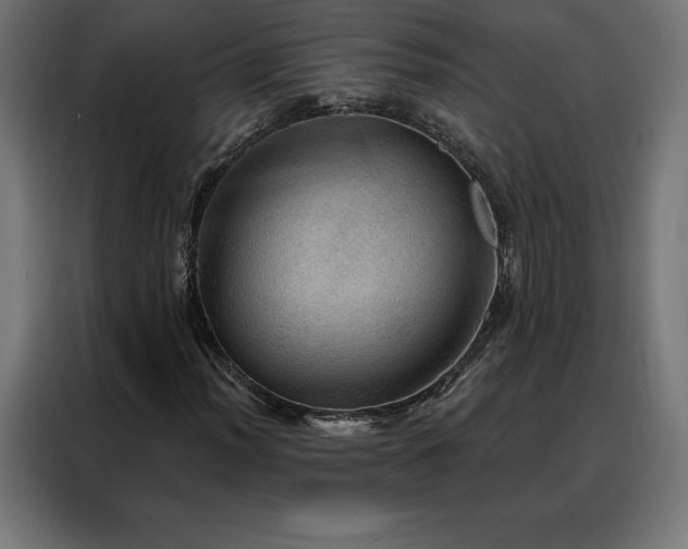 X0000088161012200705221556