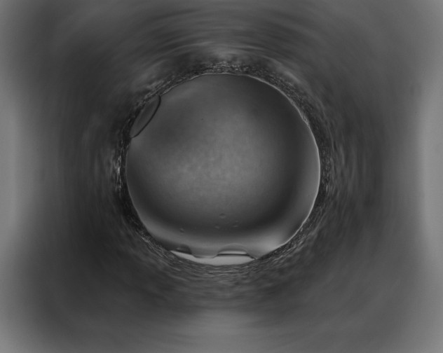 X0000088161013200705221556