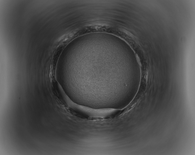 X0000088161014200705221556