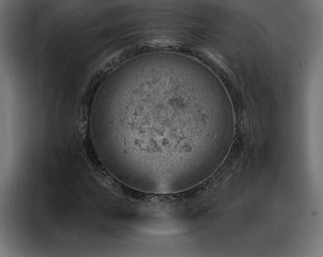 X0000088161015200705221556