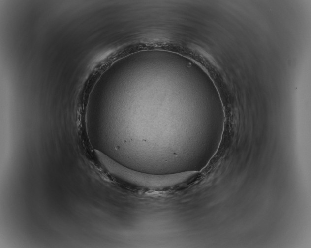 X0000088161016200705221556