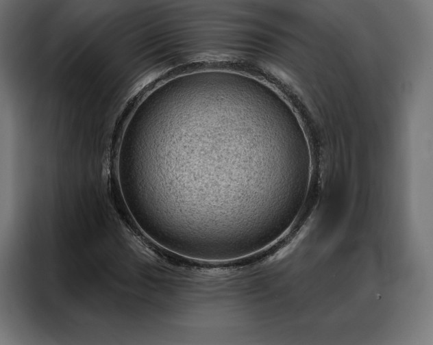 X0000088161017200705221556
