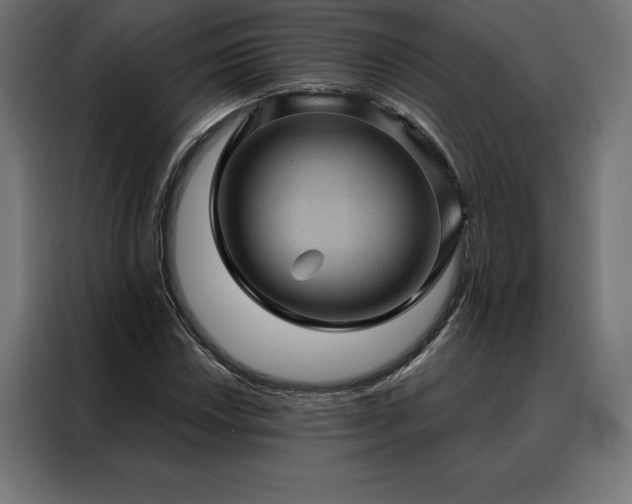 X0000088161018200705221556