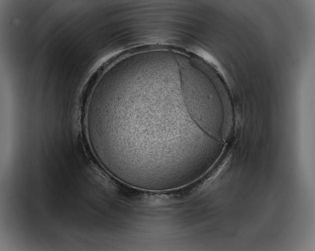 X0000088161019200705221556