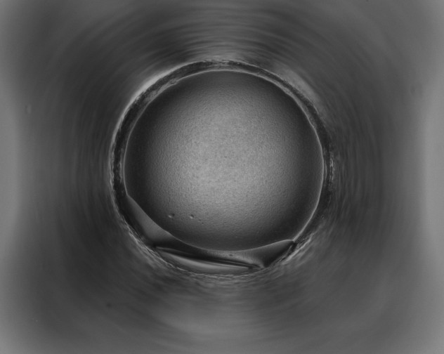 X0000088161020200705221556