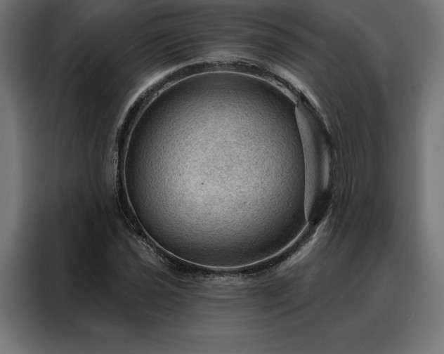 X0000088161021200705221556