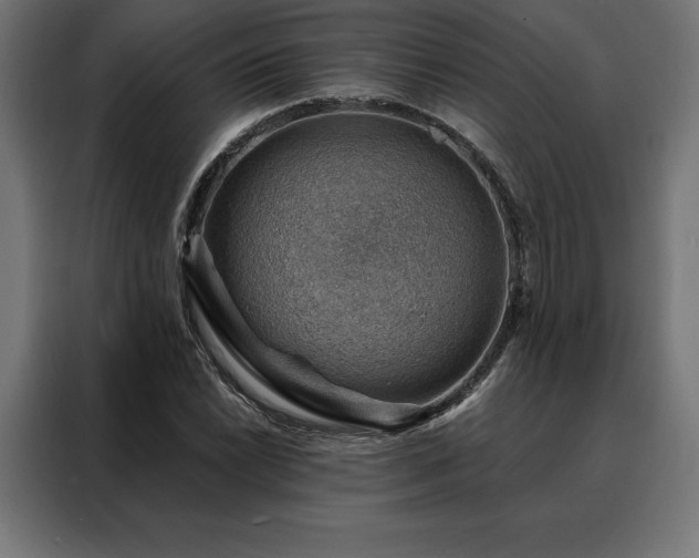 X0000088161022200705221556