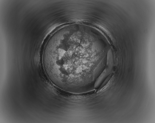 X0000088161023200705221556