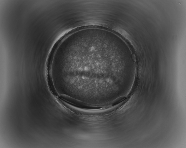 X0000088161024200705221556