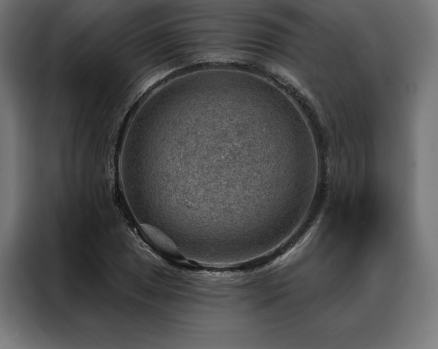 X0000088161025200705221556