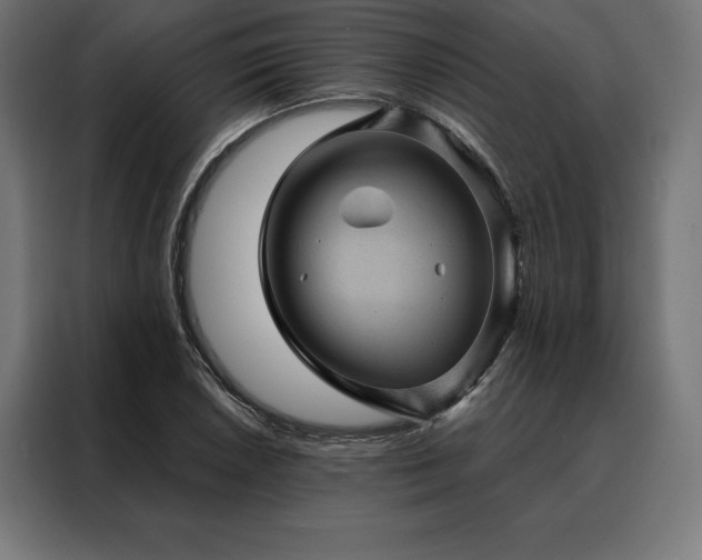 X0000088161026200705221556