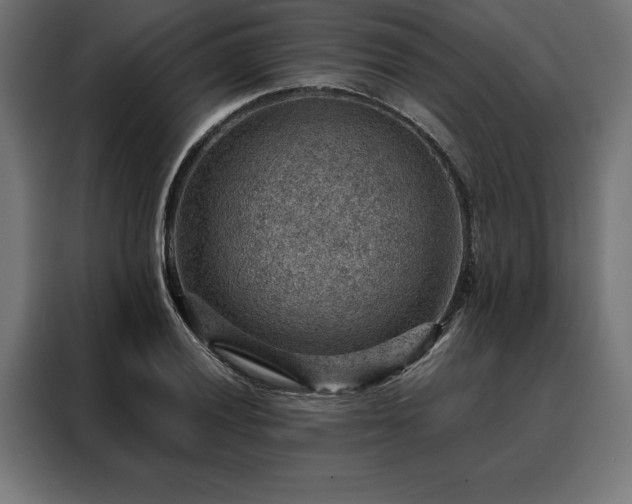 X0000088161028200705221556