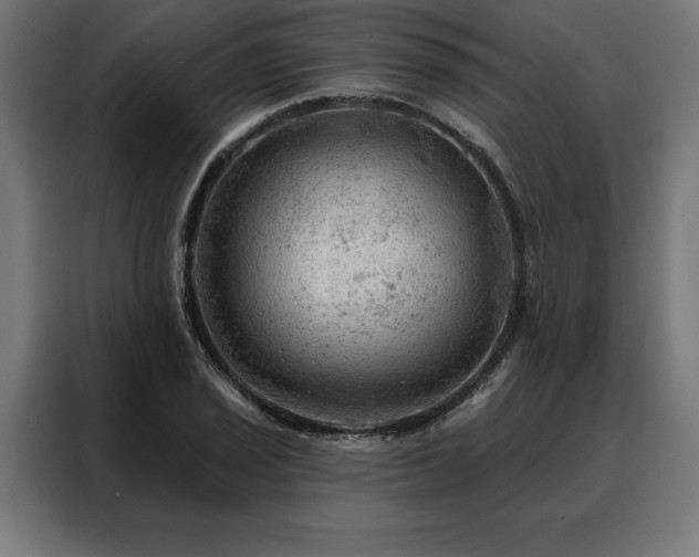 X0000088161029200705221556