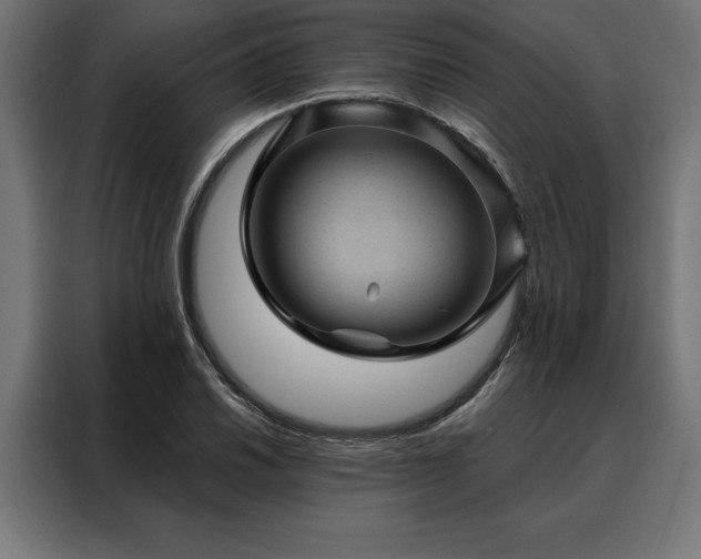 X0000088161030200705221556