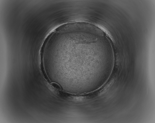 X0000088161031200705221556