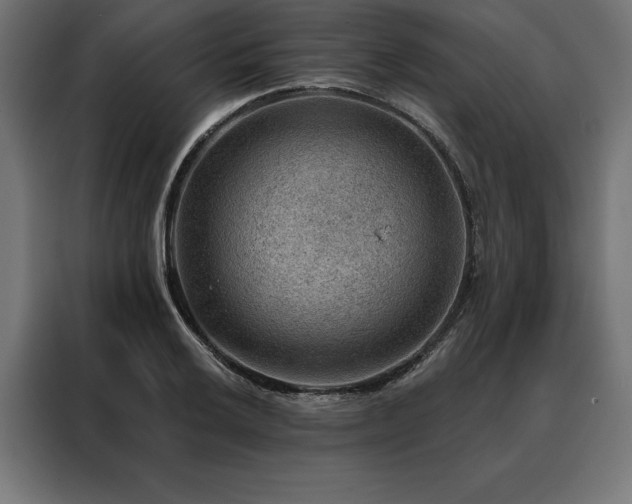 X0000088161032200705221556