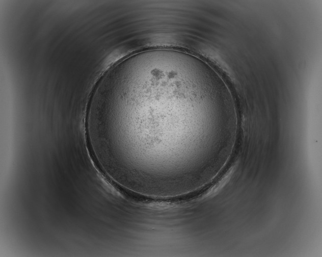 X0000088161033200705221556